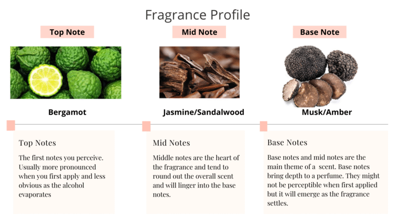 Timeless Natural Eau de Parfum Spray - Image 3