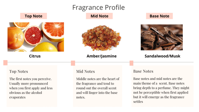 Night Fall Eau de Parfum Spray - Image 3