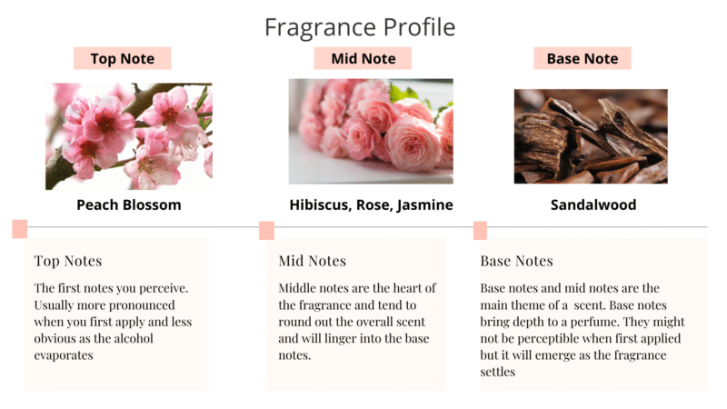 Enchanted Eau de Parfum Spray - Image 3