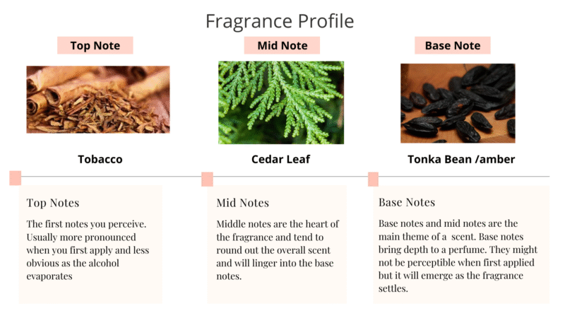 Wanderlust Natural Eau de Parfum Spray - Image 3